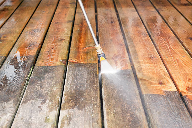 Best Exterior Home Cleaning  in Michigan City, IN